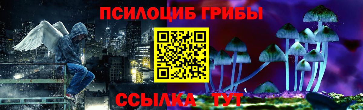 Лосино-Петровский  Галлюциногенные грибы GOLDEN TEACHER  Галлюциногенные грибы MAGIC MUSHROOMS  Вход с VPN 